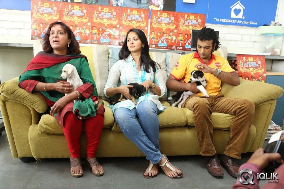 Anushka-at-Blue-Cross-Pet-Carnival-2014